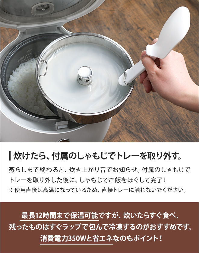 アイネクス 【マイクロタオルの特典】 炊飯器 スマートライスクッカー
