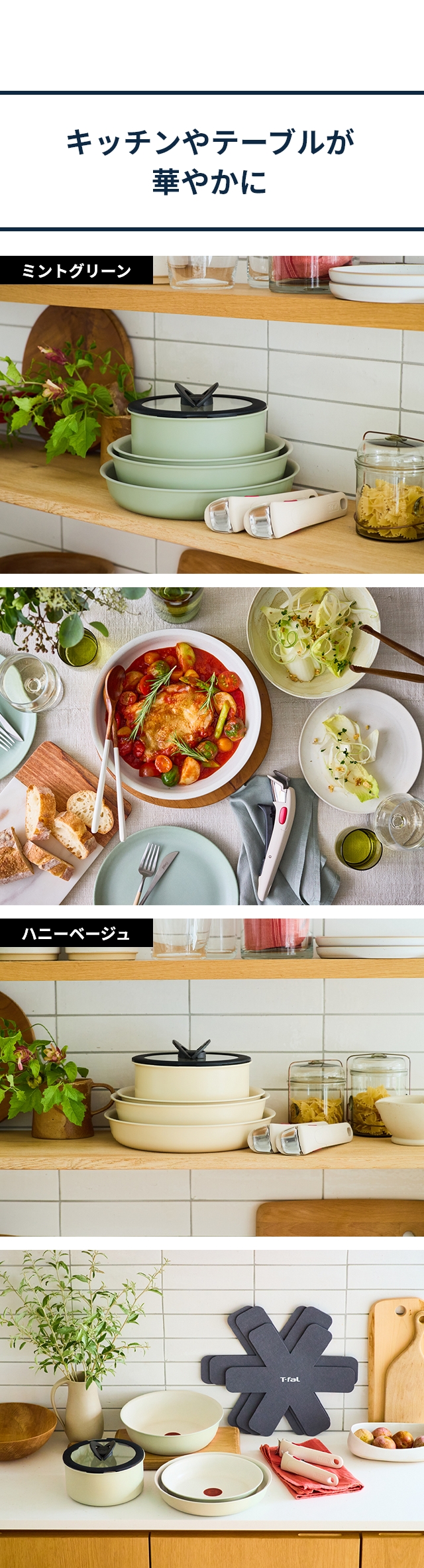 T-fal (ティファール) インジニオ・ネオ IHパレットアミ セット10