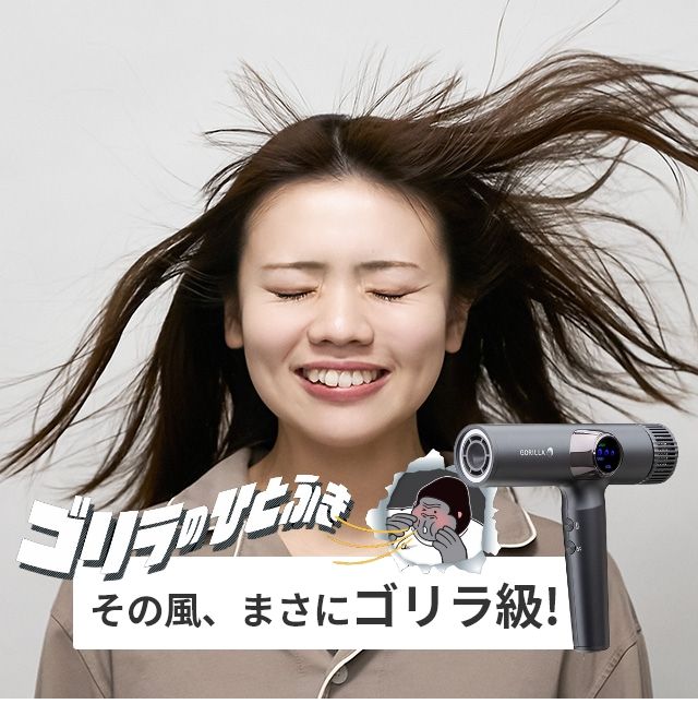 ドウシシャ　ゴリラのひとふき