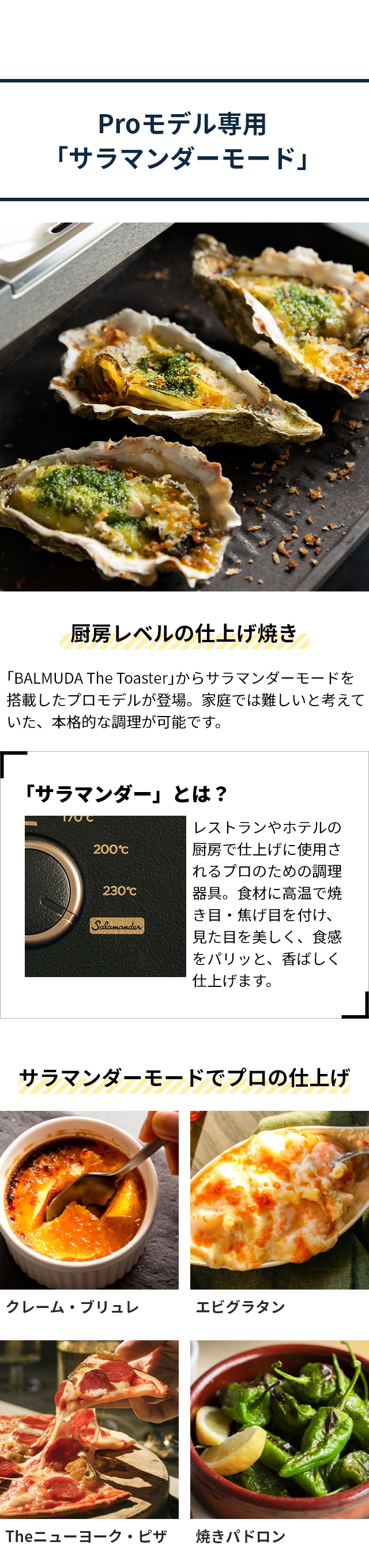 BALMUDA The Toaster Pro（バルミューダ ザ・トースター プロ）K11A-SE