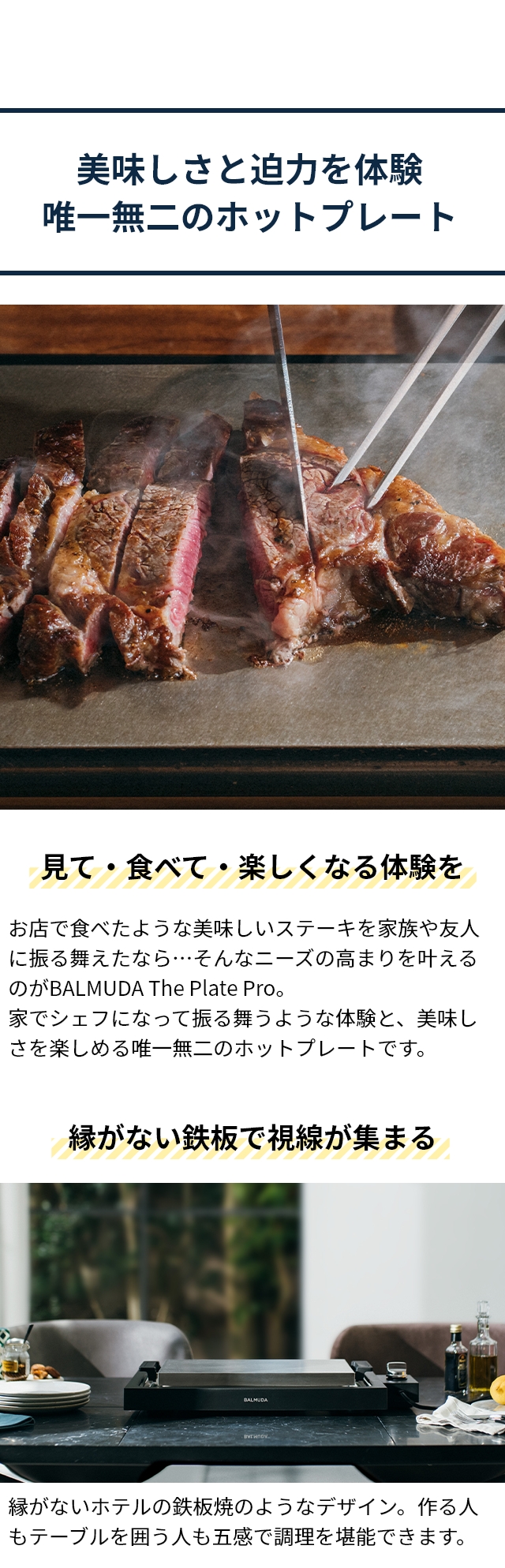 BALMUDA  (バルミューダ) The Plate Pro (ザ プレート プロ)  K10A-BK＋たこ焼きプレート K10-B100 セット