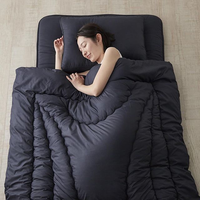 Niceday（ナイスデイ） 快適清潔シリーズ 温度調整わたを使った掛布団 NT