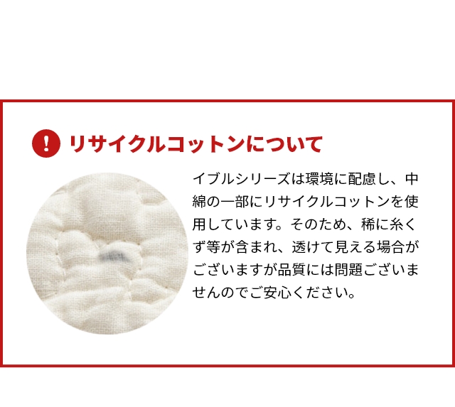 mofua(モフア) イブル CLOUD柄 綿100％ 敷きパッド Dサイズ